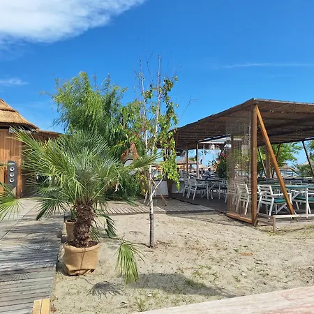 Sun & Sea Mamaia Nord * 那沃达利